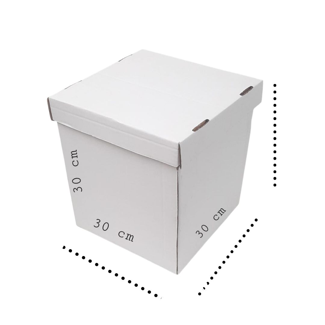 Caja Con Tapa 30x30 #5 X 5 Unidades