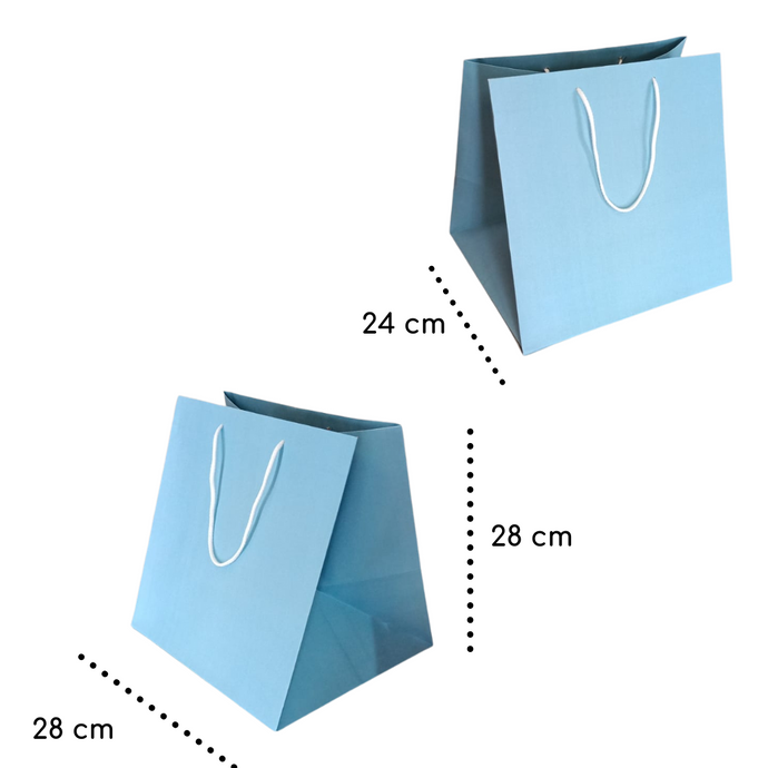 Bolsa Azul 28 x 28 x 24 cm