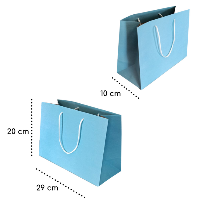 Bolsa Azul 29 x 20 x 10 cm